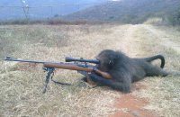 В райцентре под Киевом мужчина открыл стрельбу из огнестрельного оружия в людном месте