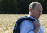 Продовольственный фронт России. Как успехи?