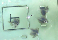 С бойцов ВСУ, испортивших свой бункер, требуют 22 тысячи гривен