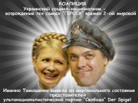 Тимошенко выступила в защиту ВО "Свобода"