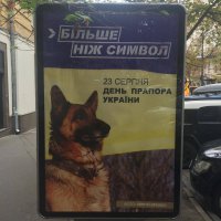 Креатив от Минстеця: лайтбоксы с изображением собаки, символизирующей украинский флаг