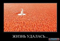 Яценюк в Чечне собирал морковку