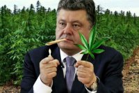Порошенко: инструкторы из США начнут тренировки украинского спецназа в ноябре