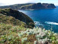 Нота МИД Украины удивила сербскую делегацию в Крыму