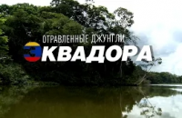 Отравленные джунгли Эквадора