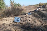 Минобороны Украины назвало число «небоевых» потерь ВСУ на Донбассе