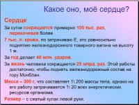 Мотор жизни. Сердце