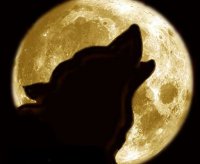 Акела промахнулся