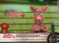 Первая Столица плюс