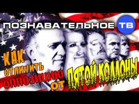 Как отличить оппозицию от пятой колонны