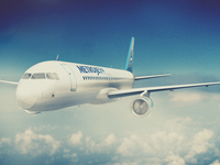 Восстановлена картина взрыва на борту самолета А321.