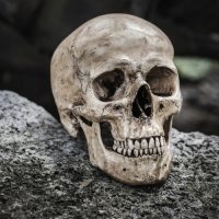 События в Европе: глупость одних - и лицемерие других...