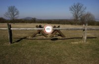 Таллин метит территорию