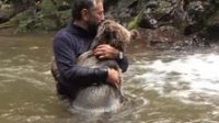 Объятия алтайского медвежонка растрогали турецкого туриста