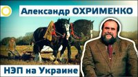 Александр Охрименко. НЭП на Украине. 24.11.2015 [Рассвет.ТВ]