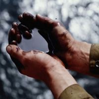 ОПЕК дала прогноз, когда цены на нефть достигнут 160 долларов