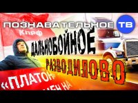 Как недовольство дальнобойщиков намеренно раскручивают для разрушения государства
