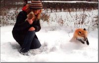 Рыжие - вполне бесстыжие