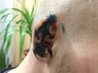 В Херсоне депутат откусил ухо боевику «Азова» и выплюнул его