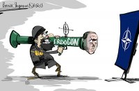 Турция и НАТО: кому уготована роль лягушки, а кому - кузнечика?