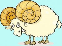 Бараны... (истории)