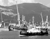 В России стоит ждать не приватизации, а национализации ключевых предприятий