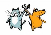 Дружба (истории)