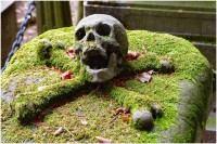 Наступление на тот свет. Юрий Селиванов