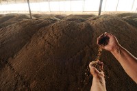 Киев объявил о намерении создать зону свободной торговли (ЗСТ) со странами Западной Африки