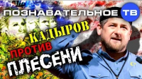 Кадыров против плесени (Познавательное ТВ, Артём Войтенков)