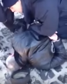 Львов: «европейская» полиция выкручивает руки, бьет и применяет газ к старику — «слишком громко пел колядку»