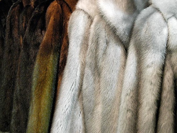 С 1 апреля в России запретят продавать меховые изделия без опознавательных меток