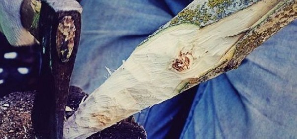 Украине грозит осиновый кол реституции