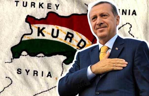Удар по курдам или "Турция отбилась от рук"