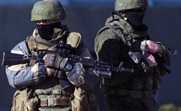 Госдума опять не готова сделать «диких гусей» домашними