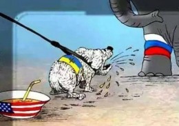 В Чехии считают, что киевский режим проигрывает на Донбассе и в международной политике