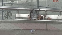 В Сети появилось видео взрыва в Стамбуле