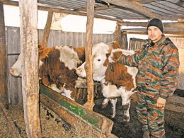 Репортаж из трезвой деревни: что делают люди, если не пьют