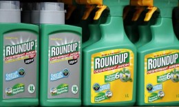 Американский ГМО-гигант требует исключить вызывающий рак гербицид из списка опасных веществ