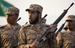 Штаты ищут мясо