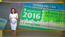 Холодный расчет: хватит ли у России аргументов, чтобы отстоять право на арктические богатства