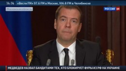 Медведев: остановившие фуры на границе - бандиты и сумасшедшие