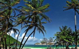 Кокосовые облигации