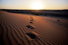 Саудовской Аравии предсказали экологическую катастрофу