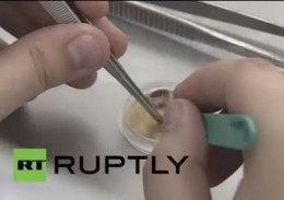 Российские ученые приблизились к созданию лекарства от старости