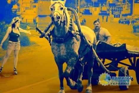 Более трети украинцев считает жизнь невыносимой, а 2/3 населения мечтают уехать из Украины