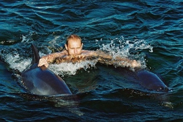 «Уберите дельфинов от безумного Путина»: западные СМИ переплюнули в кретинизме даже украинских журналистов