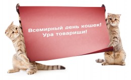 1 марта во всем мире отмечают Международный день кошек