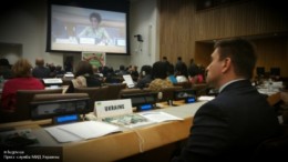 Совету ООН по правам человека предложили признать РФ оккупационной властью