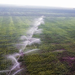 Продажа земли, или Как Украину в очередной раз ограбят